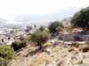 symi