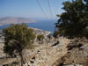 symi