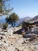 symi