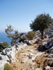 symi