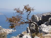 symi