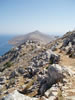 symi