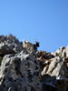 symi
