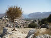 symi