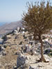 symi