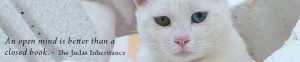 Sample banner