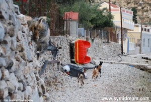 Symi Greece photos