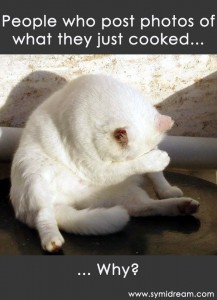 Jack cat says why