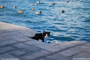 Symi Greece photos
