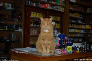 Symi Greece photos