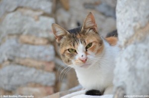 Symi Greece photos