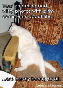 Jack cat says why