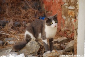 Symi Greece photos