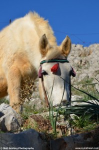 Symi Greece photos