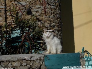 Symi Greece Simi