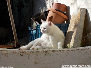 Symi Greece photos