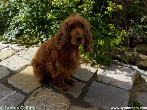 Images from Symi Greece