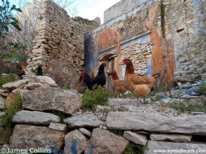 Images from Symi Greece
