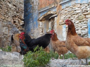 Images from Symi Greece