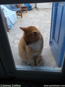 Images from Symi Greece