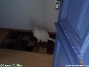 Images from Symi Greece