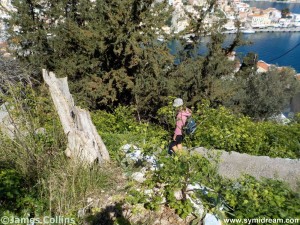 Images from Symi Greece