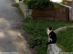 Images from Symi Greece