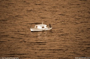 Sunday morning, the cat is up on the roof in the sun, half the housework is done, chicken is marinating in the kitchen ahead of a barbeque later and I am watching small fishing boats coming in and out of Harani down below me. The washing machine is on, I’ve checked my emails and messages, stripped the bed, put the washing up away, had a shower, hung things out to dry and am now sitting down to get ahead of myself by writing this, and it’s only 7.45.  The joys of having a loud cat.  The other night he was allowed to stay in and we avoided the 5.00 shout-out, but did have to put up with a 5.00 bedroom exploration instead. But at least I was able to stay in bed, mostly asleep, until half seven on that day. Last night we tried the same thing but this resulted in a ‘wanna go out’ shout at some deep-dark, unexplored, time of night, and so I got up to let him out. That was followed by early morning ‘I wanna come in’ shouts that finally got me out of bed at 6.30 – Neil had gone to see to his Lordship even earlier than that.  But, on the happy news side; we’ve had a good weekend so far and there’s still the children’s art class exhibition to go and view later this morning followed by the barbeque. We’re aiming for Nimborio for that but it will depend on the wind. It was blowing madly yesterday, and a bitter north wind was finding every possible crack to whistle in through in the house. There’s less wind today but it still looks cold out there.  The ear thing seems a bit better today too, though it’s still very noisy in there, but the keyboard isn’t sliding about too much. I've made an appointment with an ear doctor in Rhodes for the week after next, and hope to at least find out what causes all this and, even better, some way to get it under control. I have spoken to a doctor recently who thinks, as I do, that it’s caused by some kind of RSI, from sitting here at the desk blogging away all day (almost) every day; pressure on a part of the back or neck that restricts blood flow to the inner ear. It’s one possibility and the most likely. He recommended acupuncture but that sounds far to much like changing a tyre under water for me. I suppose I could try randomly sticking pins in myself, it would be a lot more pleasurable than the tablets I tried on Friday. ‘Vertigo-Vomex’ (I've had them before, I should have known better). Yes, yucky name, and yes the dizziness did stop but that was only because I was so drowsy from them that I was practically drooling. Took me a good 24 hours to get just two of them out of my system and start functioning again.  But hey! You didn’t sit down here to read about all that. You want to know the latest Symi gossip. Well, what can I tell you? Her form down the road hasn’t washed her step and is no better than she should be, and he from along the lane is reportedly seeing someone who you would never guess, and that scandal over at number 26 with the politician’s brother’s other half and the milk bottle, well, what an odyssey that’s been…   I’ll be back with more of the same during the week. A week which is a birthday week. And to celebrate my 52nd I have arranged for Richard III to be buried on my birthday. And that was not easy to arrange I can tell you!