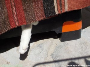 Images from Symi Greece