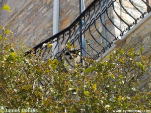 Images from Symi Greece