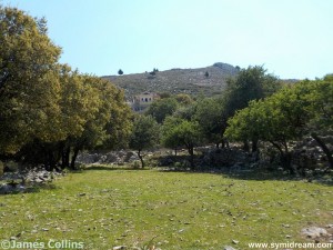 Images from Symi Greece