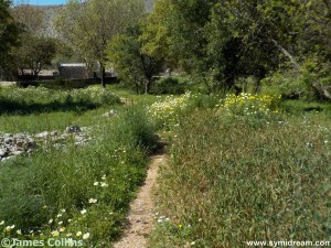 Images from Symi Greece