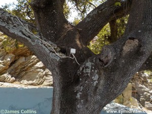 Images from Symi Greec
