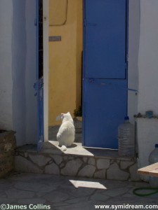 Images from Symi Greece