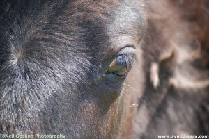 Images from Symi Greece