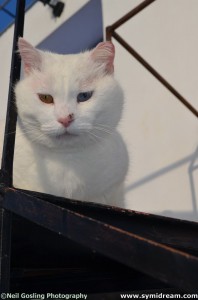 Images from Symi Greece