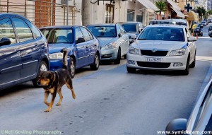 Images from Symi Greece