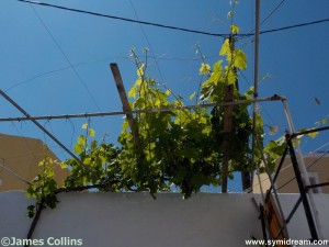 Images from Symi Greece by Neil Gosling and James Collins