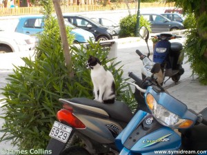 Images from Symi Greece by Neil Gosling and James Collins
