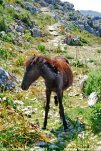 Images from Symi Greece