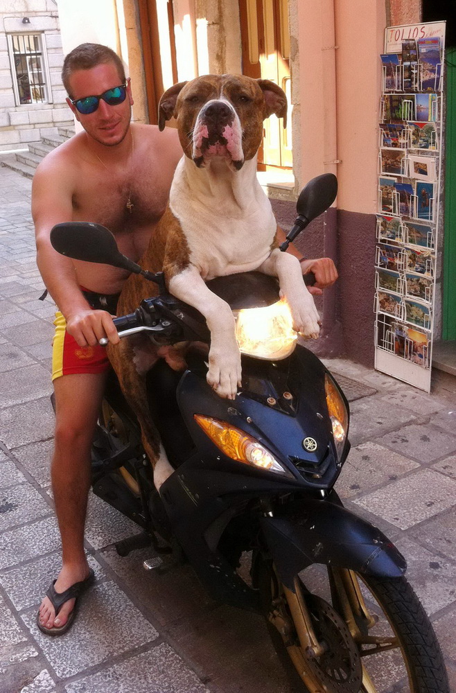 Taking the dog for a walk