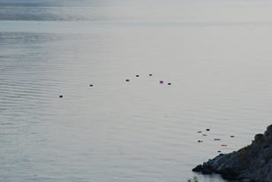 Thank you to Fotini who took this photo of refugee’s possessions and life jackets in the sea after a group of refugees arrived last week. It's a reminder than on some occasions these are not cases and bags, but people.