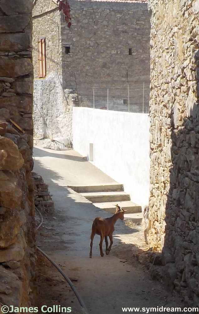 Images from Symi Greece by Neil Gosling and James Collins