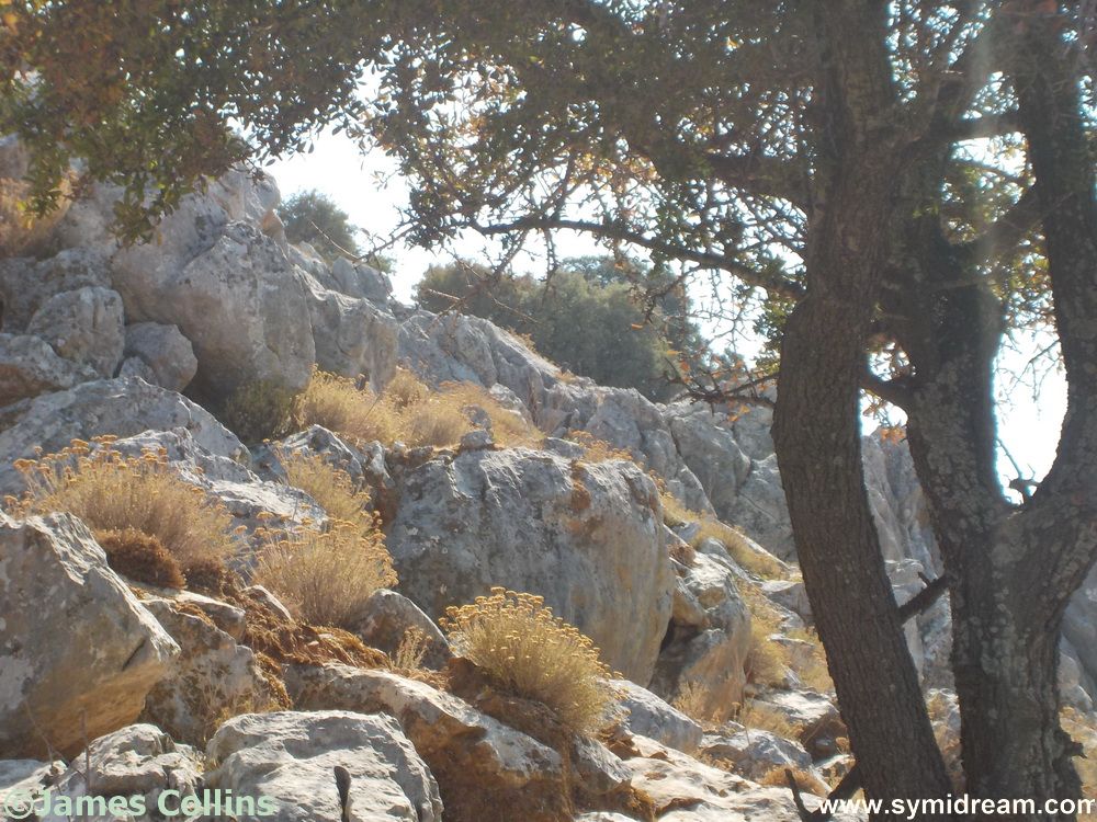 Images from Symi Greece by Neil Gosling and James Collins