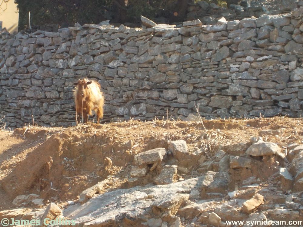 Images from Symi Greece by Neil Gosling and James Collins