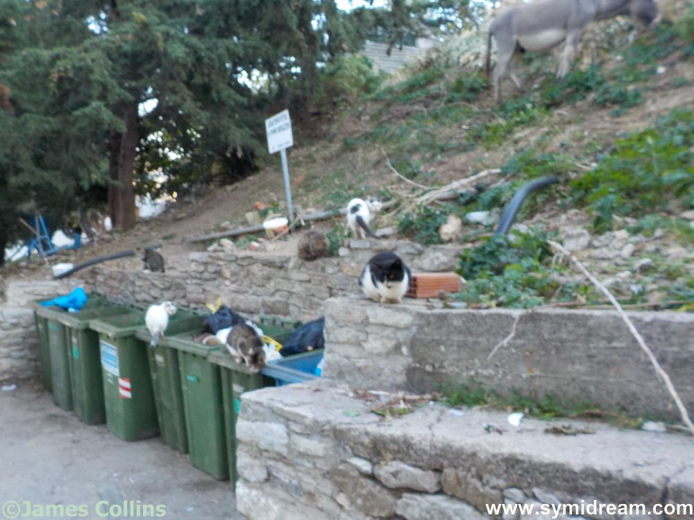 Images from Symi Greece by Neil Gosling and James Collins