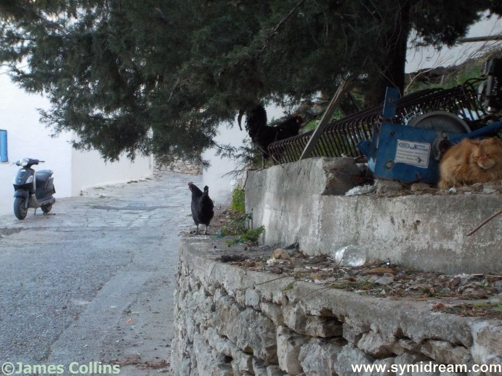 Images from Symi Greece by Neil Gosling and James Collins