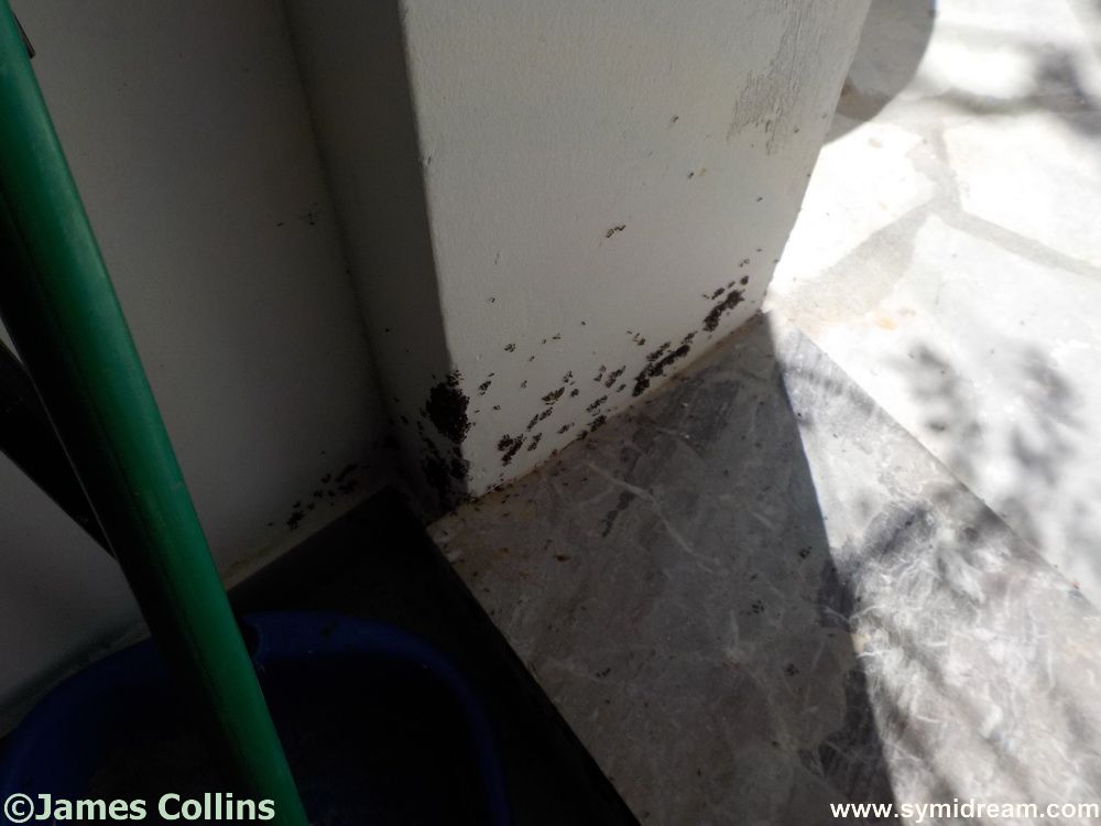 Symi Greece Symi Dream