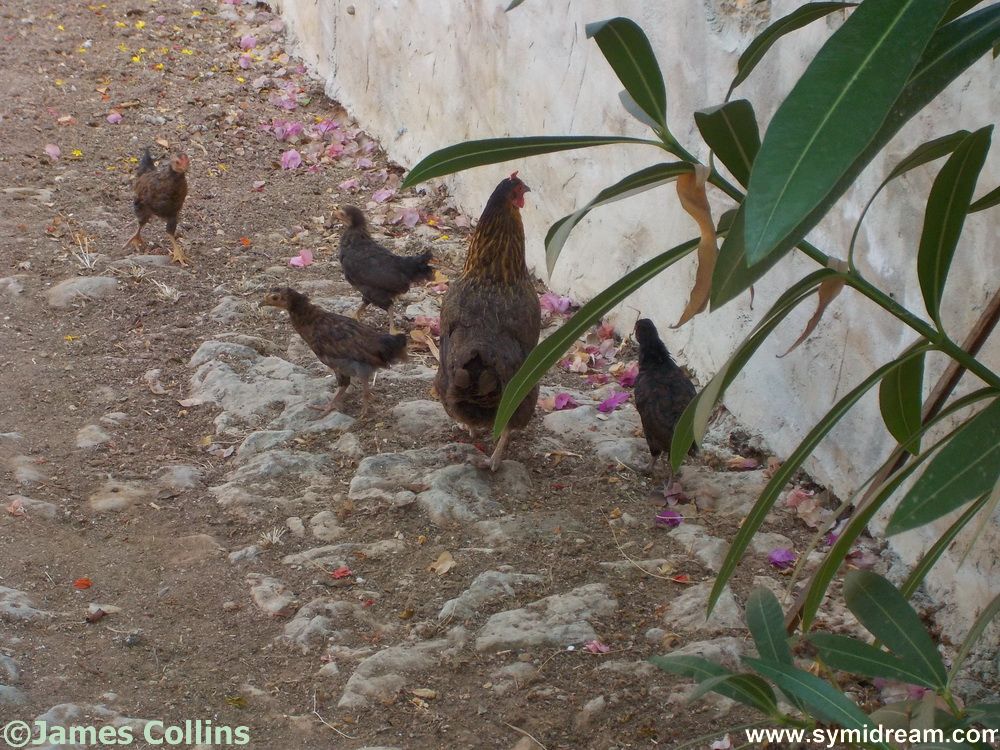 Symi Greece Symi Dream photos