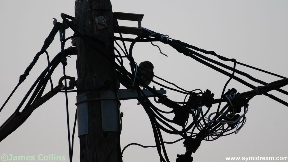 Symi Greece Symi Dream photos